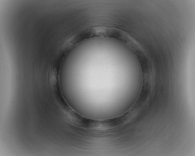 X0000115380702200911101306