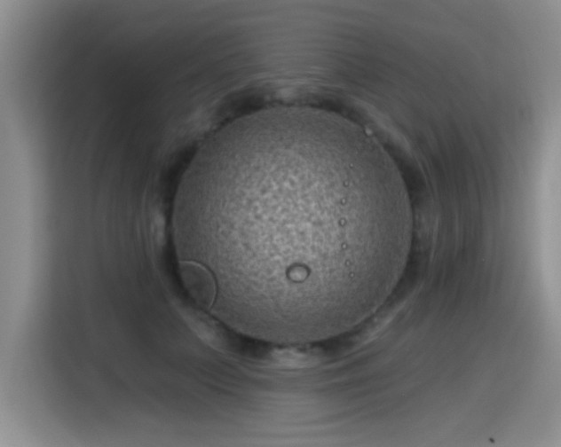 X0000115380703200911101306