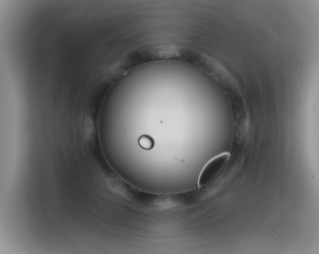 X0000115380704200911101306