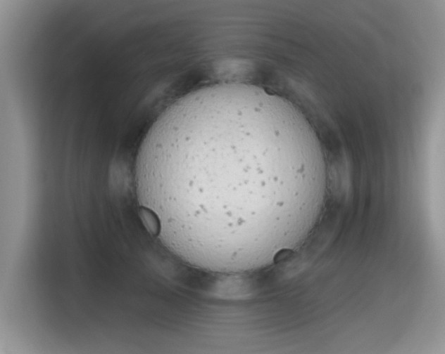X0000115380705200911101306