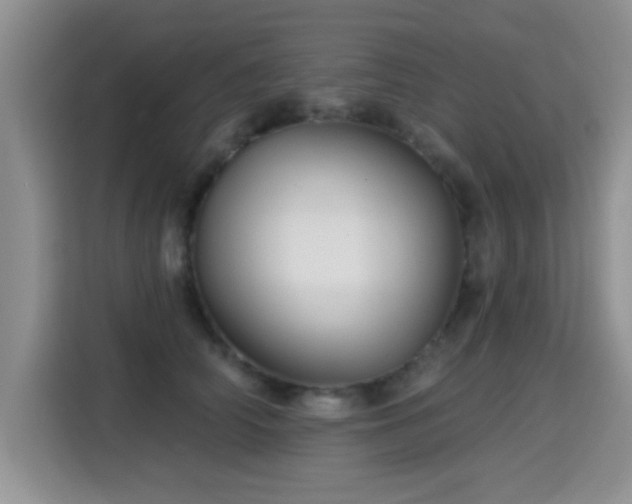 X0000115380706200911101306