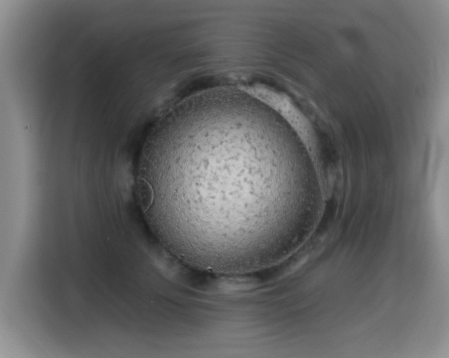 X0000115380707200911101306