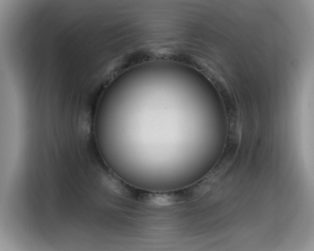 X0000115380710200911101306