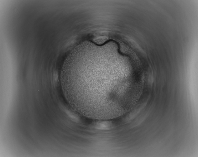 X0000115380711200911101306