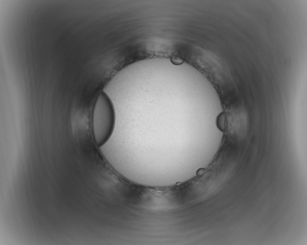 X0000115380713200911101306