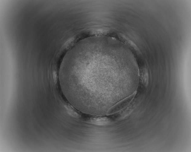 X0000115380716200911101306
