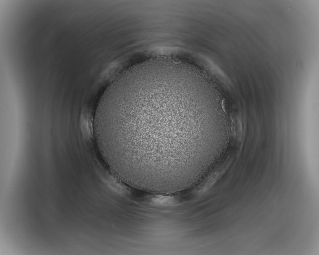 X0000115380718200911101306