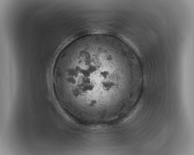 X0000115380721200911101306