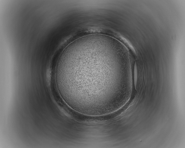 X0000115380722200911101306