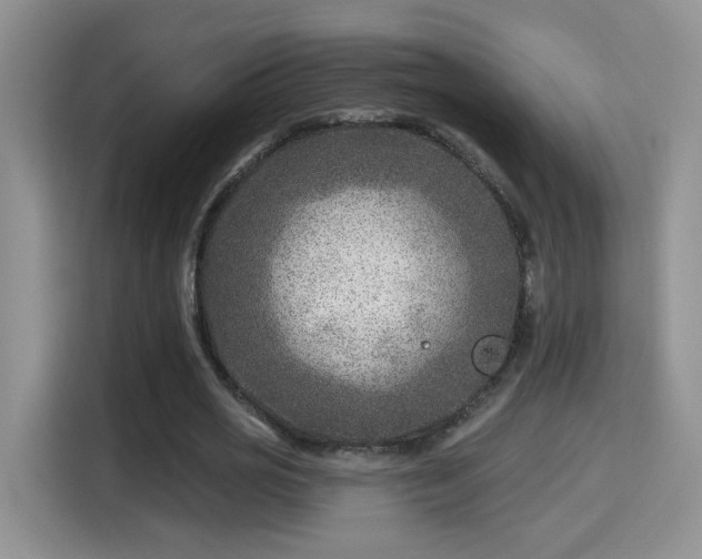 X0000115380725200911101306