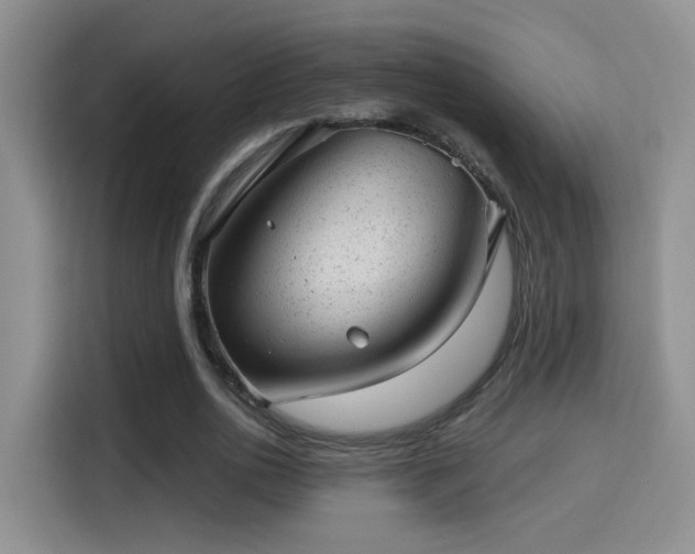 X0000115380726200911101306