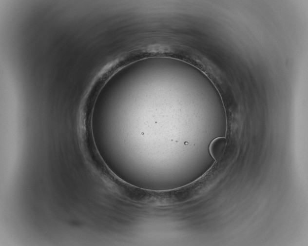 X0000115380727200911101306