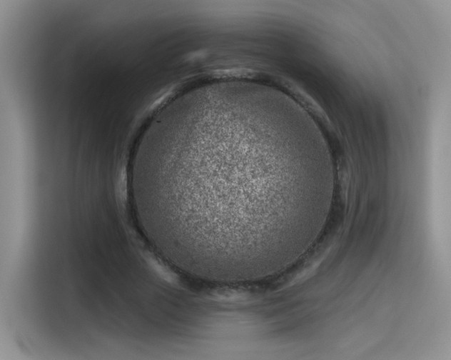 X0000115380729200911101306