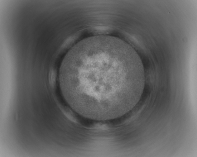 X0000115380742200911101306