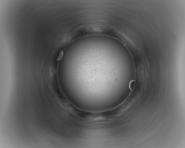 X0000115380747200911101306