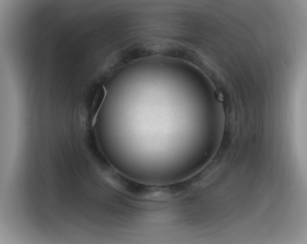 X0000115380750200911101306