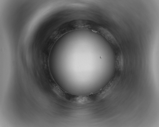 X0000115380762200911101306