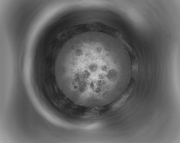 X0000115380765200911101306