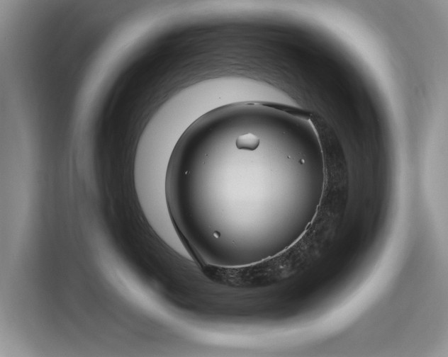 X0000115380766200911101306
