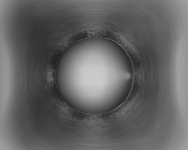 X0000115380770200911101306