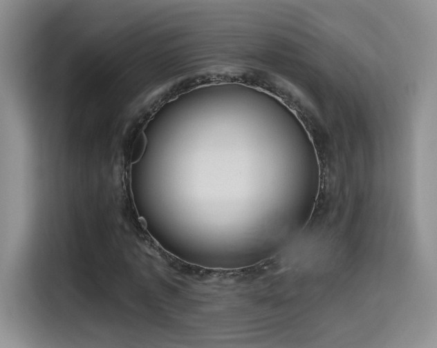 X0000115380773200911101306