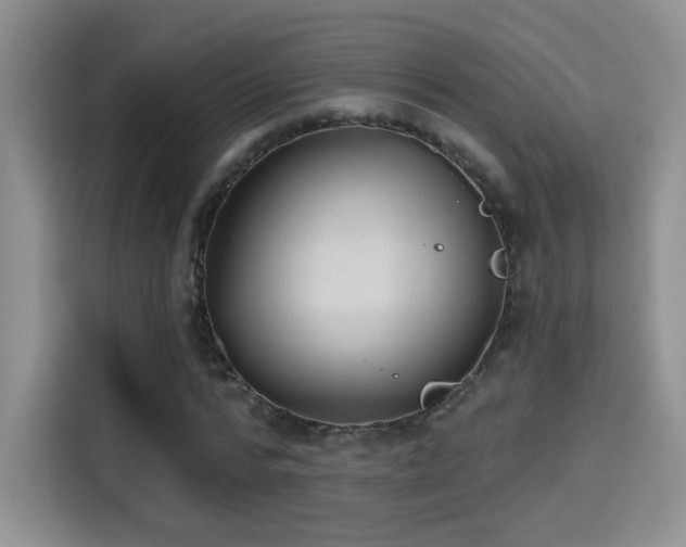 X0000115380776200911101305