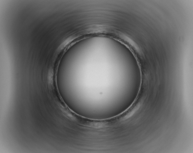X0000115380778200911101305