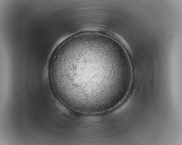 X0000115380779200911101305