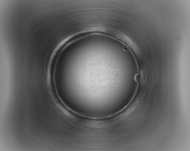 X0000115380780200911101305
