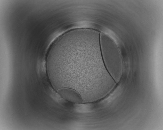 X0000115380781200911101305