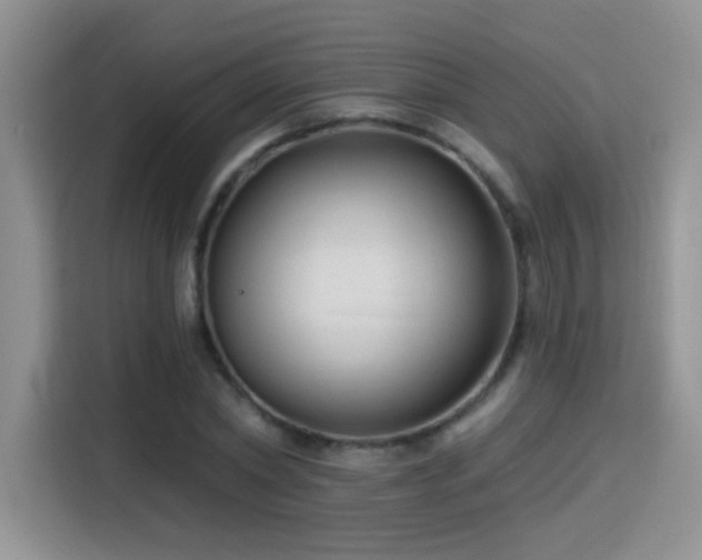 X0000115380782200911101305