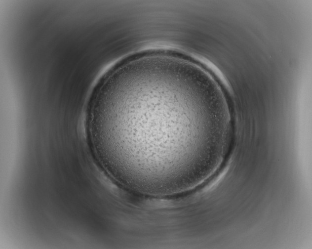 X0000115380783200911101305