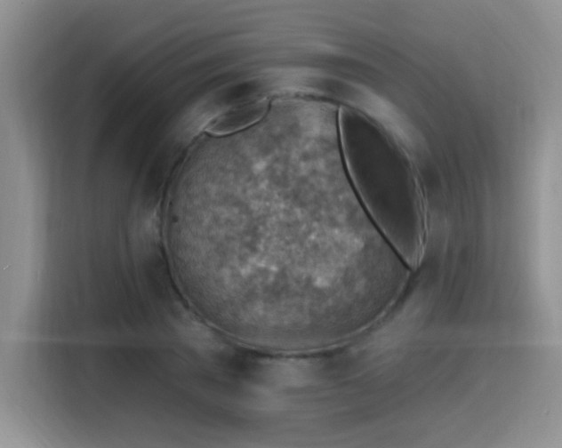 X0000115380785200911101305