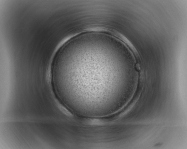 X0000115380787200911101305
