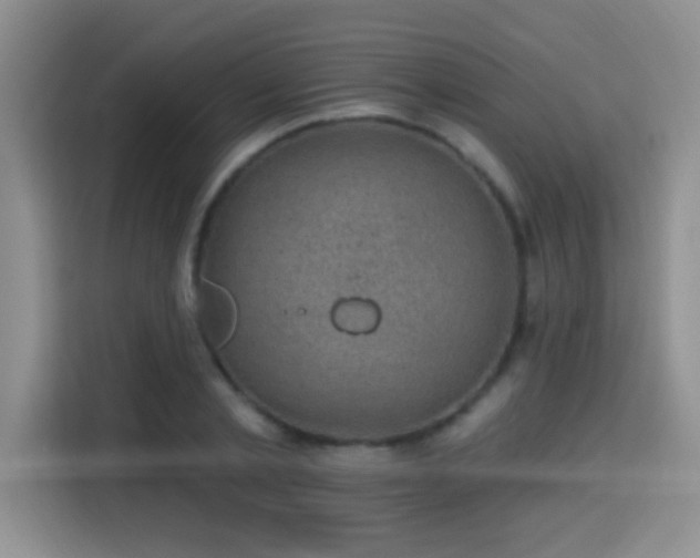X0000115380789200911101305