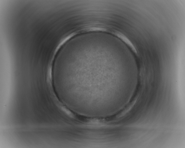 X0000115380790200911101305