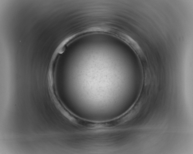 X0000115380796200911101305