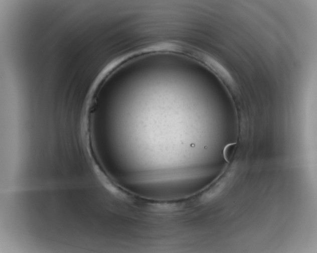 X0000115380800200911101305
