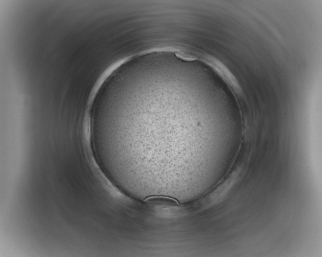 X0000115380804200911101305