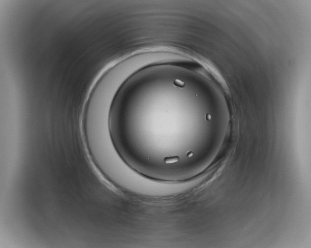 X0000115380805200911101305