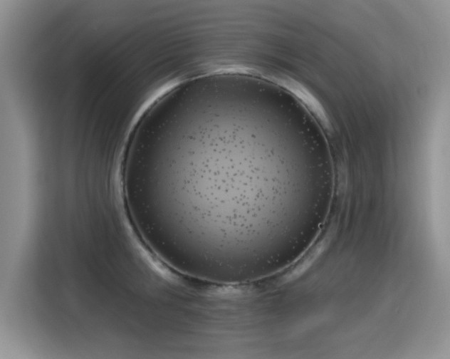 X0000115380806200911101305