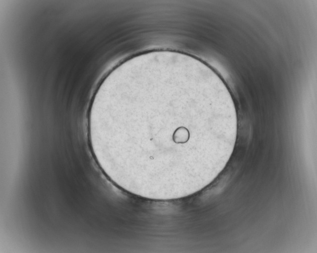 X0000115380807200911101305