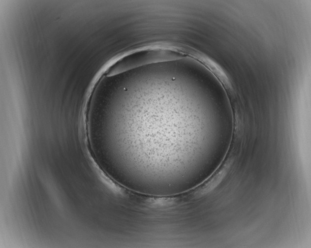 X0000115380808200911101305