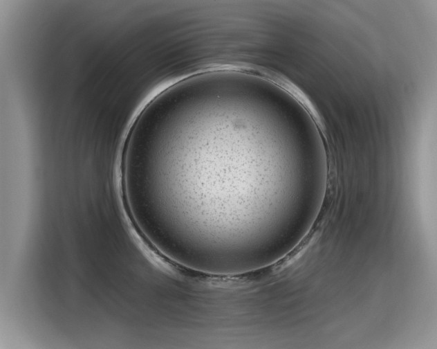 X0000115380811200911101305
