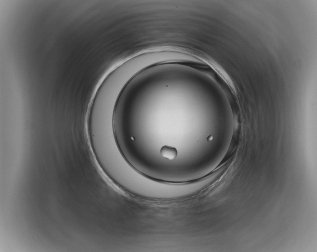X0000115380813200911101305