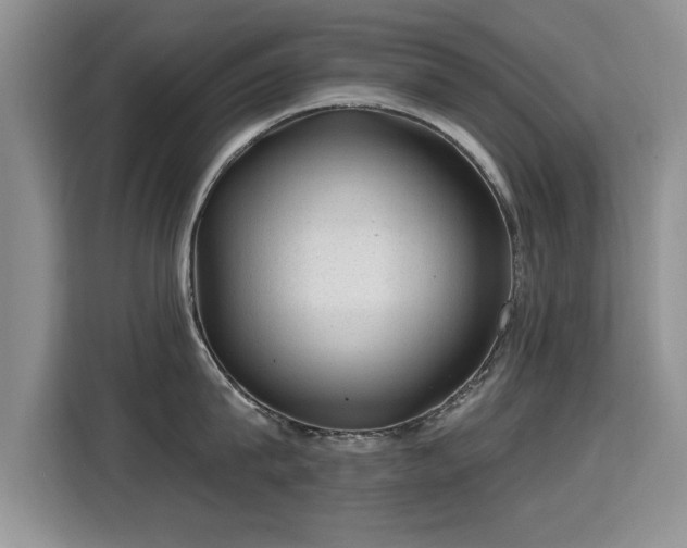X0000115380815200911101305
