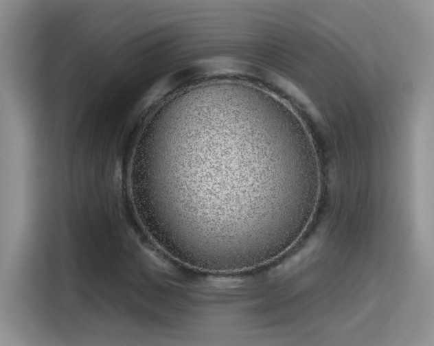 X0000115380825200911101304