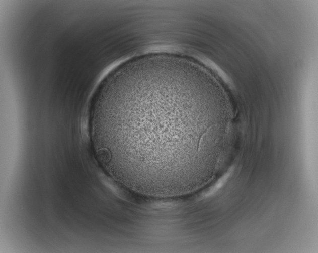X0000115380830200911101304