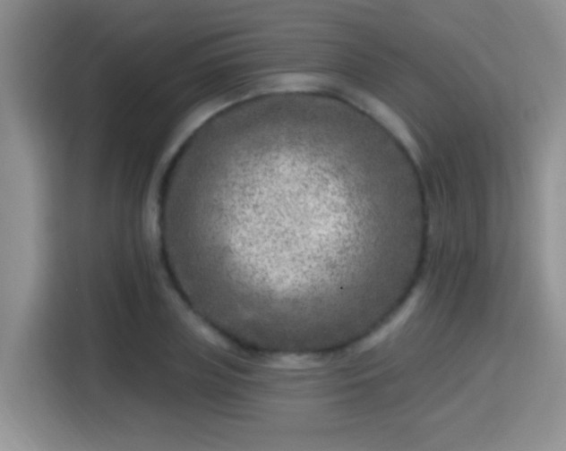 X0000115380835200911101305