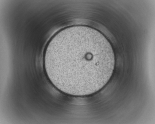 X0000115380836200911101305